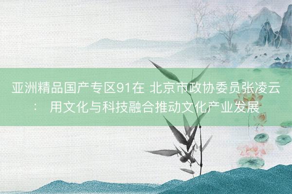 亚洲精品国产专区91在 北京市政协委员张凌云： 用文化与科技融合推动文化产业发展