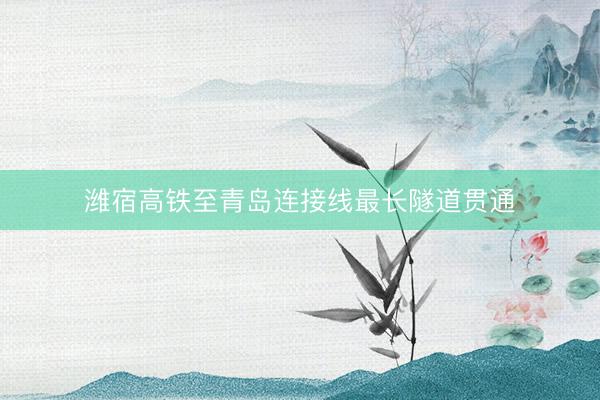 潍宿高铁至青岛连接线最长隧道贯通