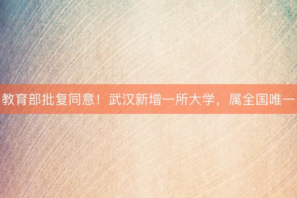 教育部批复同意！武汉新增一所大学，属全国唯一
