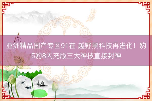 亚洲精品国产专区91在 越野黑科技再进化！豹5豹8闪充版三大神技直接封神
