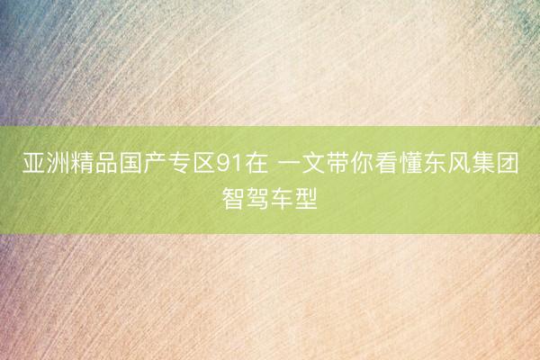 亚洲精品国产专区91在 一文带你看懂东风集团智驾车型