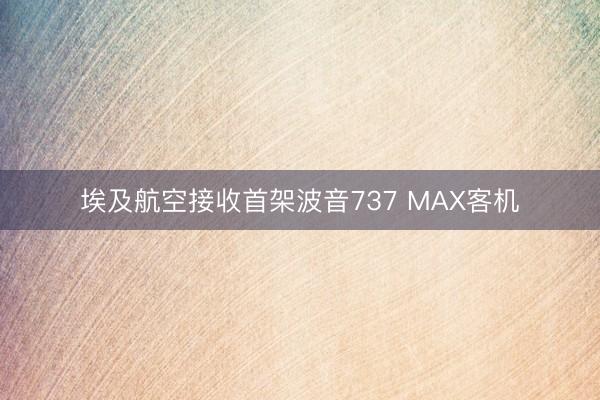 埃及航空接收首架波音737 MAX客机
