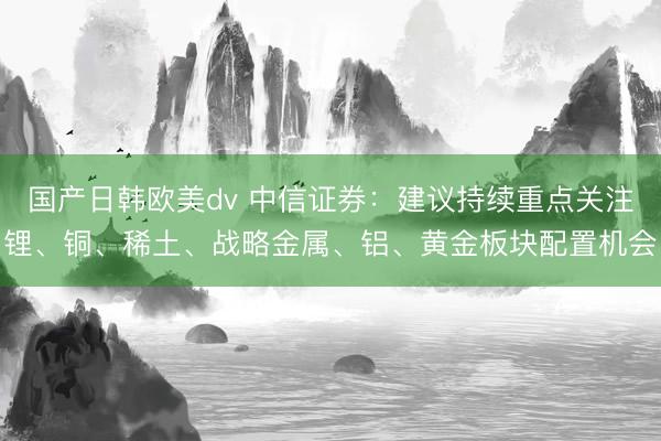 国产日韩欧美dv 中信证券：建议持续重点关注锂、铜、稀土、战略金属、铝、黄金板块配置机会