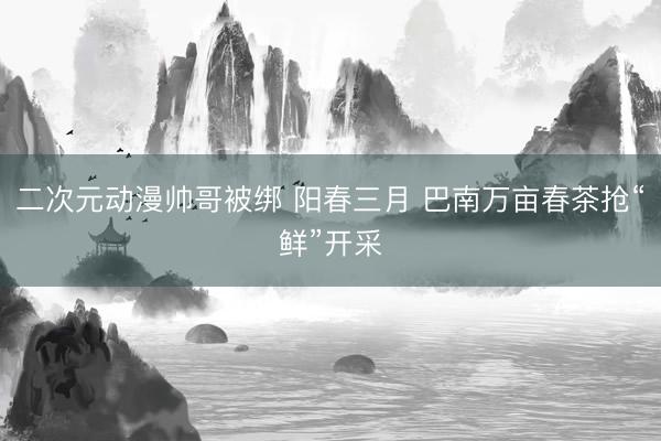 二次元动漫帅哥被绑 阳春三月 巴南万亩春茶抢“鲜”开采