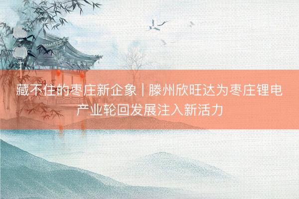 藏不住的枣庄新企象 | 滕州欣旺达为枣庄锂电产业轮回发展注入新活力