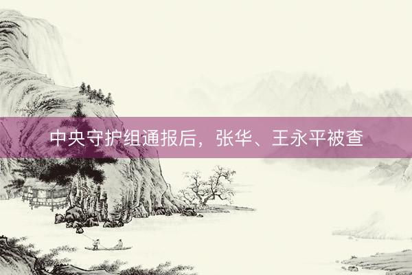 中央守护组通报后，张华、王永平被查