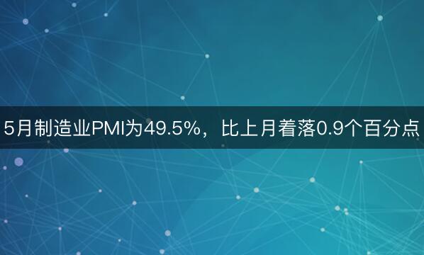 5月制造业PMI为49.5%，比上月着落0.9个百分点