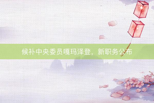 候补中央委员嘎玛泽登，新职务公布