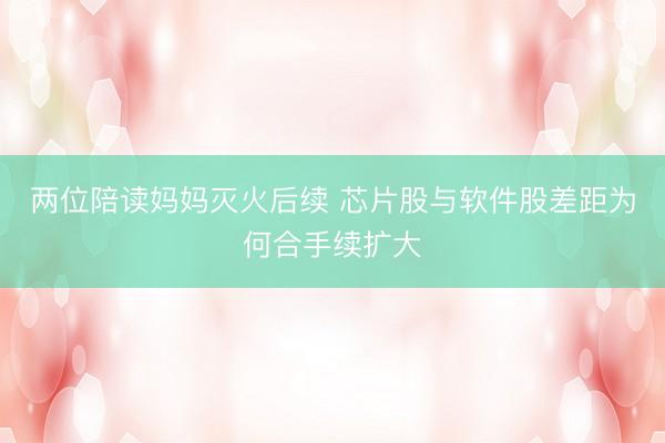 两位陪读妈妈灭火后续 芯片股与软件股差距为何合手续扩大