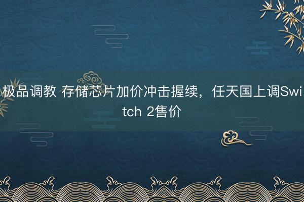 极品调教 存储芯片加价冲击握续，任天国上调Switch 2售价