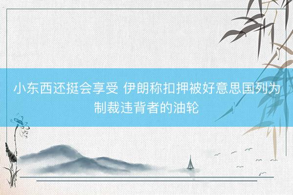 小东西还挺会享受 伊朗称扣押被好意思国列为制裁违背者的油轮