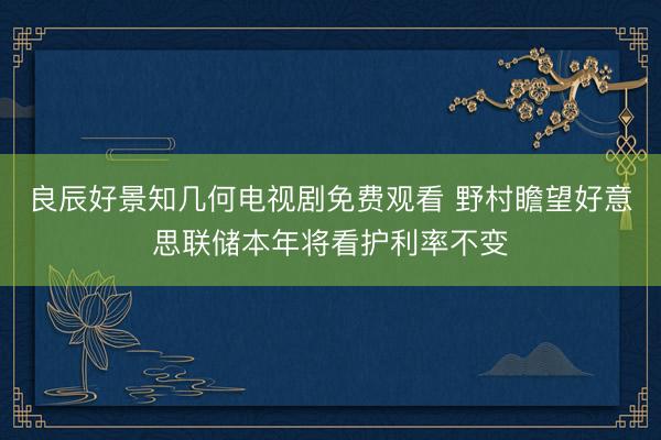 良辰好景知几何电视剧免费观看 野村瞻望好意思联储本年将看护利率不变