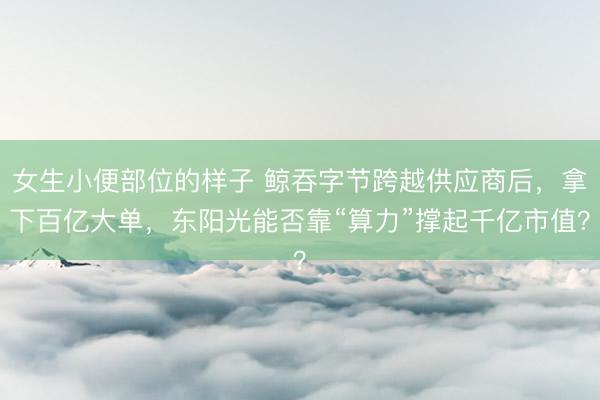 女生小便部位的样子 鲸吞字节跨越供应商后，拿下百亿大单，东阳光能否靠“算力”撑起千亿市值？
