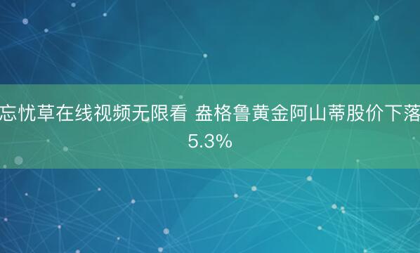 忘忧草在线视频无限看 盎格鲁黄金阿山蒂股价下落5.3%