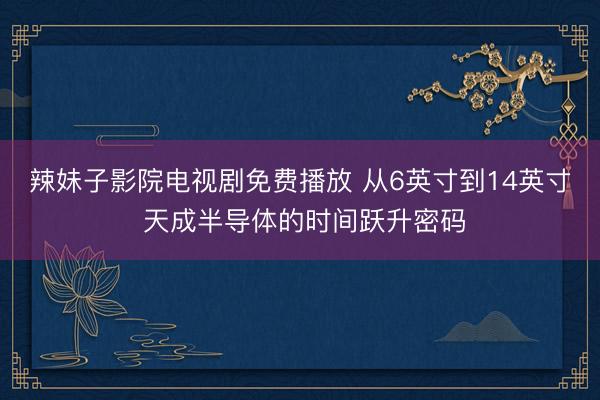 辣妹子影院电视剧免费播放 从6英寸到14英寸 天成半导体的时间跃升密码