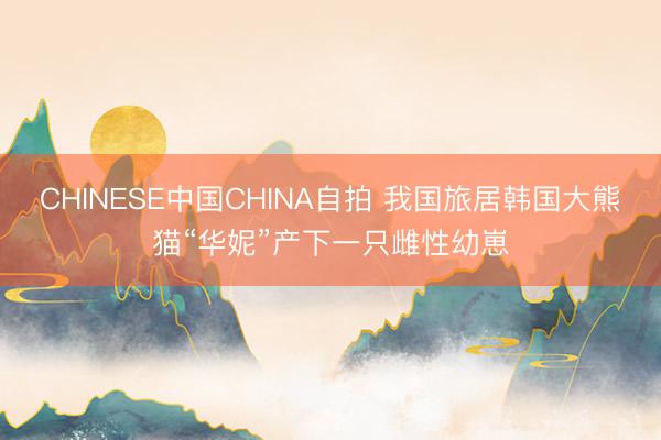 CHINESE中国CHINA自拍 我国旅居韩国大熊猫“华妮”产下一只雌性幼崽