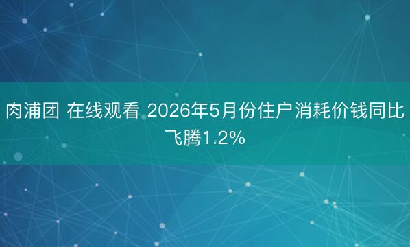 肉浦团 在线观看 2026年5月份住户消耗价钱同比飞腾1.2%