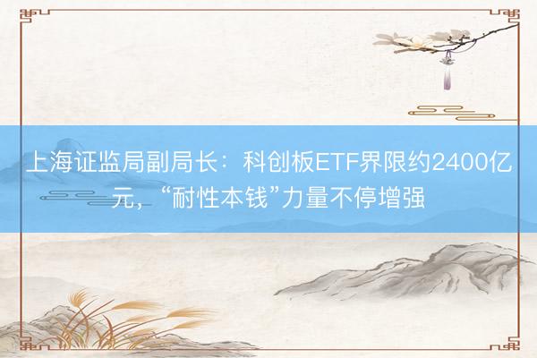 上海证监局副局长：科创板ETF界限约2400亿元，“耐性本钱”力量不停增强